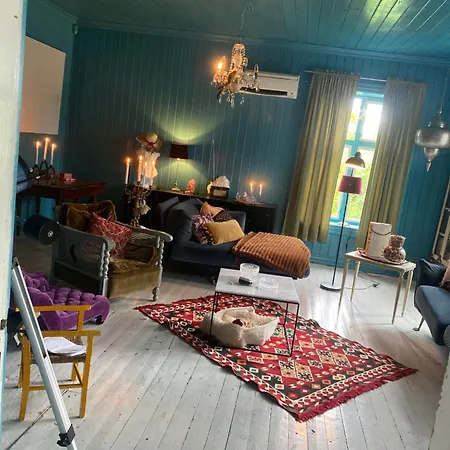 Villa Chateau De Merli